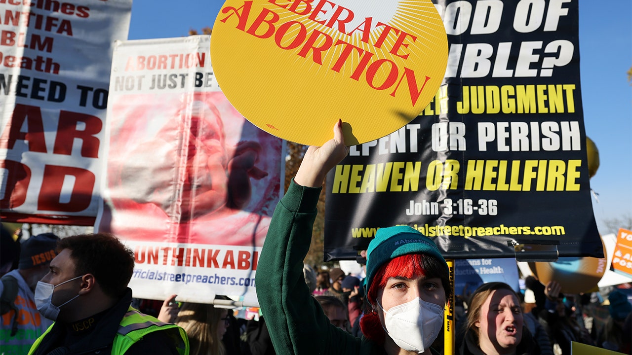 Lawmakers remain divided as  Roe v. Wade hangs in the balance at Supreme Court