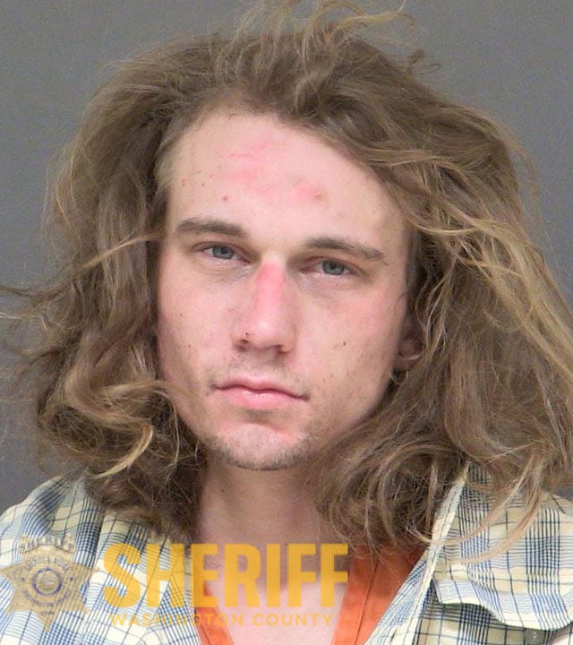 Oregon man tries running over officer with stolen vehicle, arrested after K-9 pursuit: police