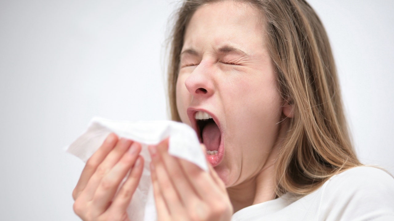 Allergy sufferers have nearly 40% lower risk of COVID-19 infection, study says - Fox News