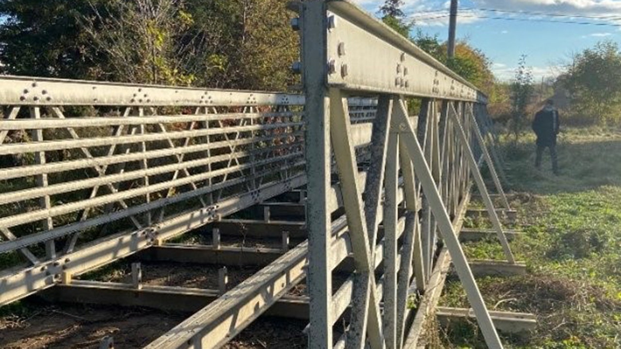 Ohio man allegedly steals 58-foot bridge from park, charged with felony theft