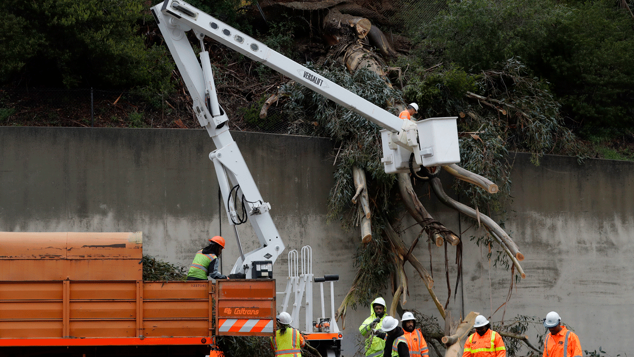 Caltrans workers clear the remains of a 100-foot eucalyptus tree from the northbound lanes of Highway 13 in Oakland, California, on Thursday, Dec. 23, 2021. (Asssociated Press)