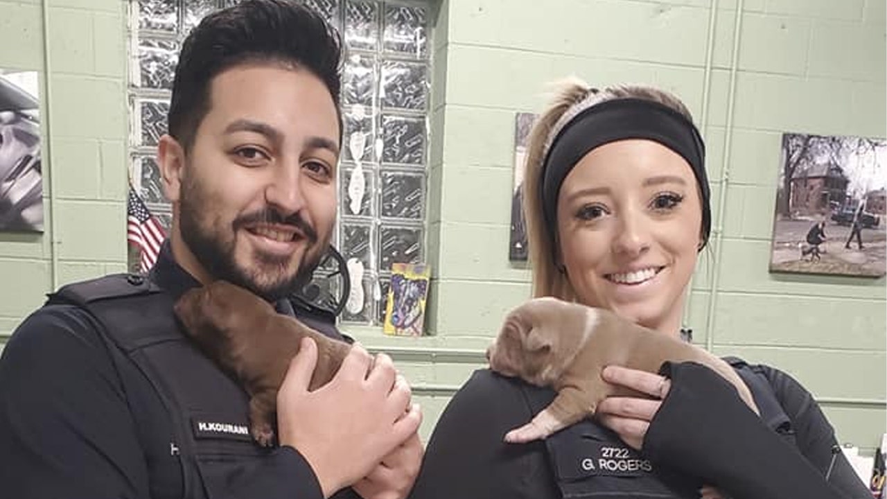 Detroit cops rescue puppies trapped in abandoned home's mattress spring