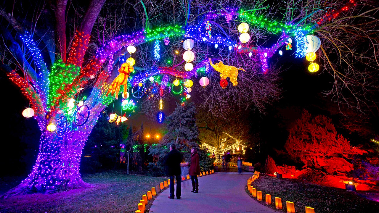 These are the dazzling Christmas light displays across America