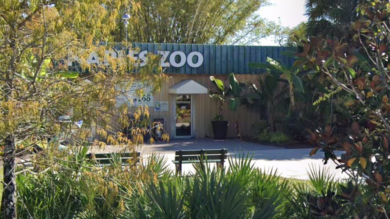Florida deputy forced to kill zoo’s tiger after contractor places arm inside enclosure gets attacked: reports – Fox News