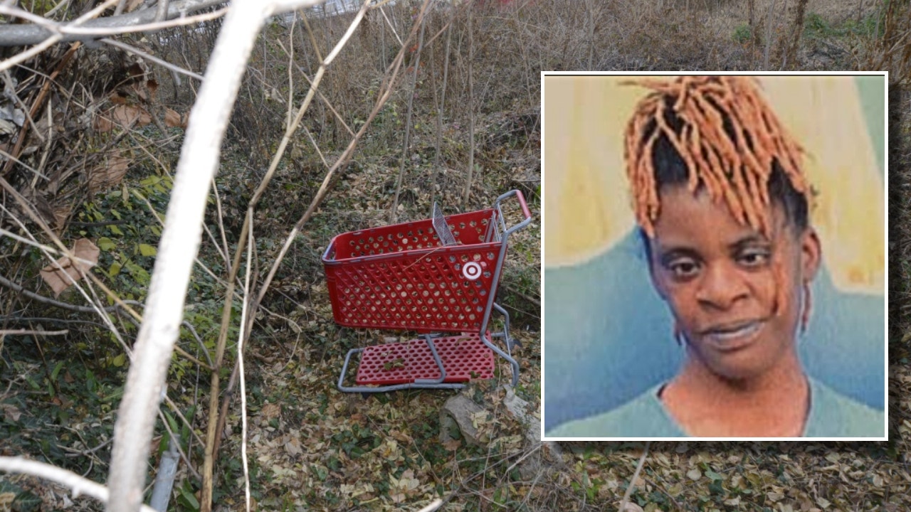 Virginia's 'Shopping Cart Killer' in custody after 4 bodies discovered