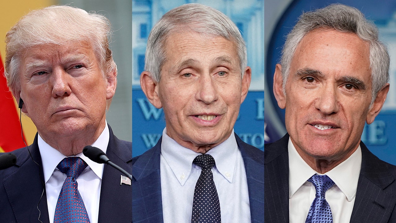 Scott Atlas: I was 'shocked' Trump never fired Fauci, Birx | Fox News