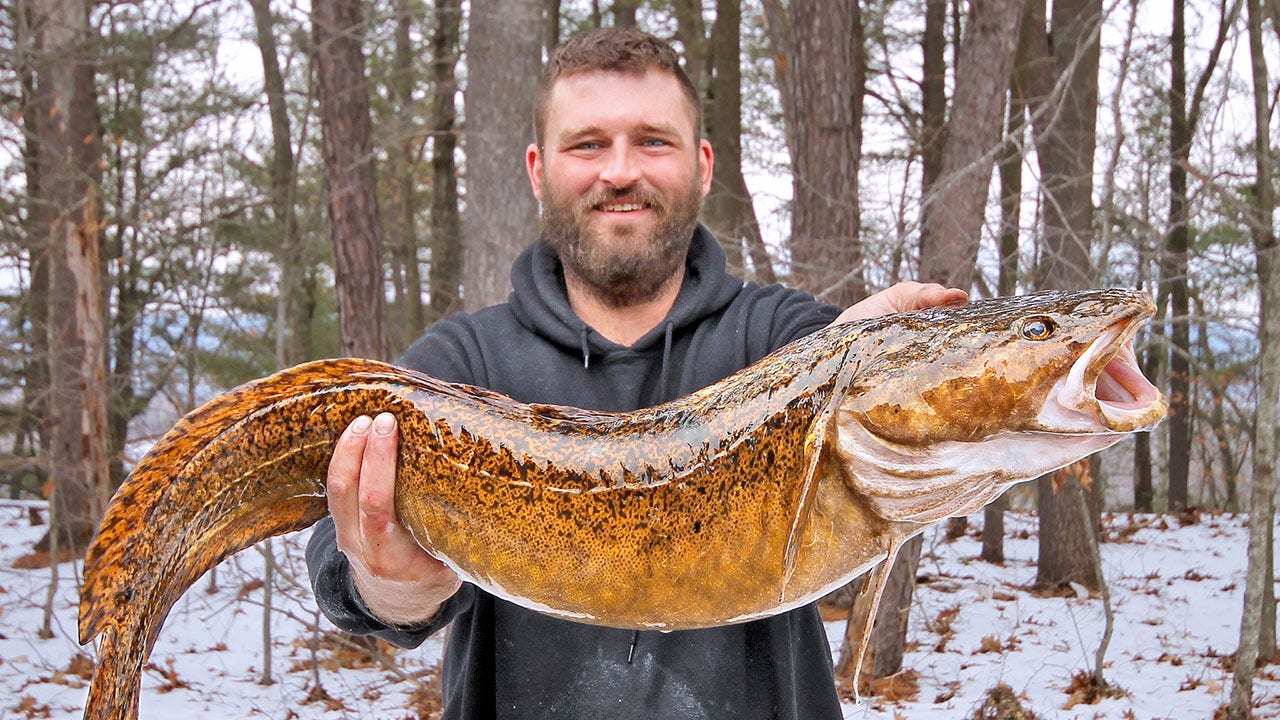 The New Hampshire Fish and Game department confirmed that Ryan Scott Ashley had set a new state cusk record. (New Hampshire Fish and Game)
