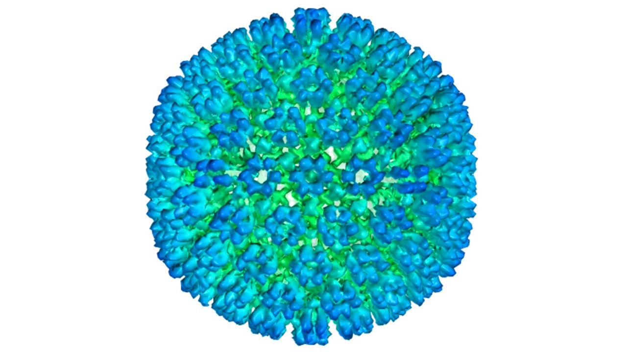 More evidence ties Epstein-Barr virus to multiple sclerosis, study says