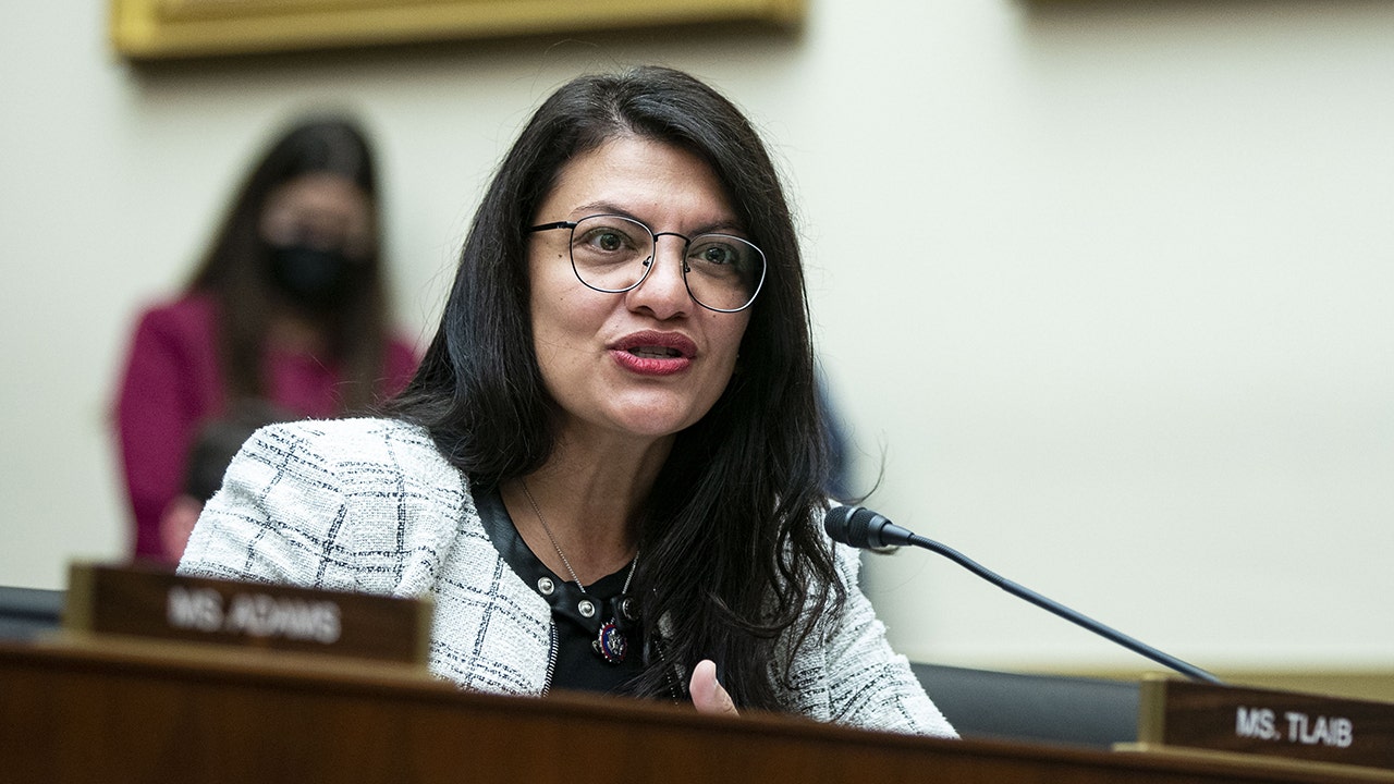 Rashida Tlaib's Dem challenger accuses her of 'anti-Semitic rhetoric': 'She goes crazy'