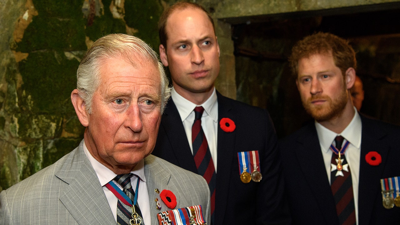 Prince Charles praises sons Prince Harry, Prince William in new essay about climate change: ‘I am proud’