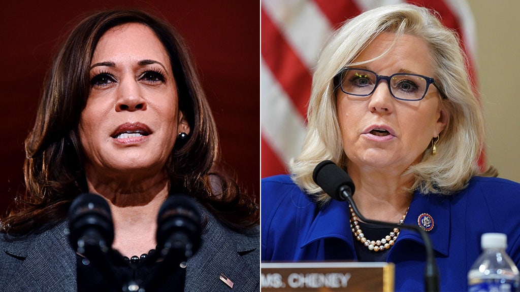 Kamala Harris praises Republican Liz Cheney's 'courage to speak truth'