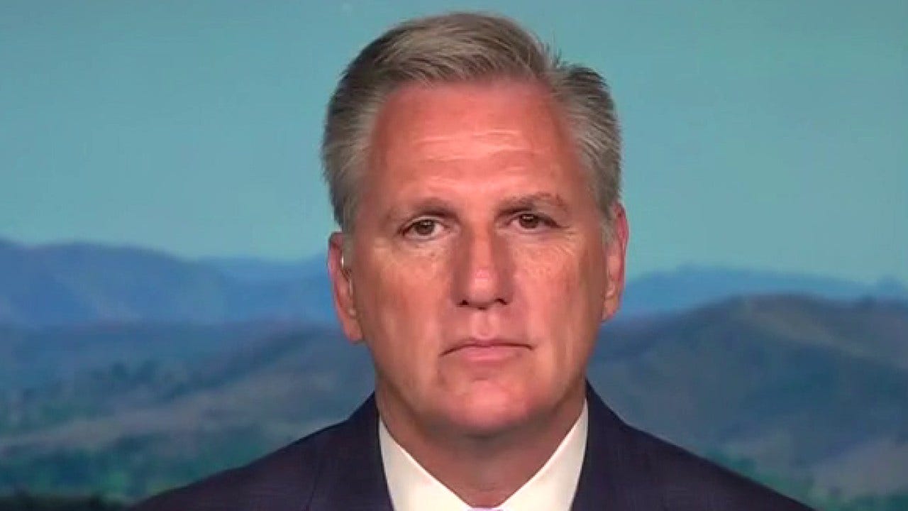 House Minority Leader McCarthy blasts ‘one-party rule’ for COVID spike, ‘crippled economy’