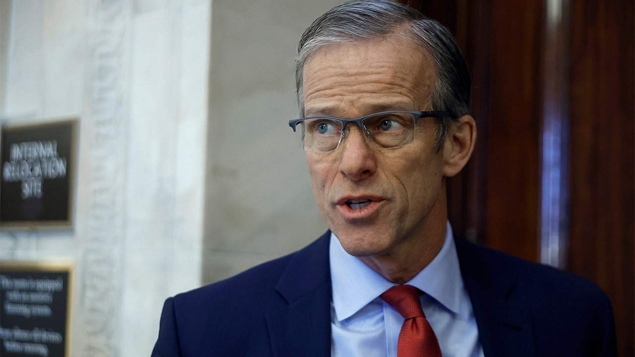Thune says Trump's election claims aren't productive if GOP wants to win in midterms thumbnail