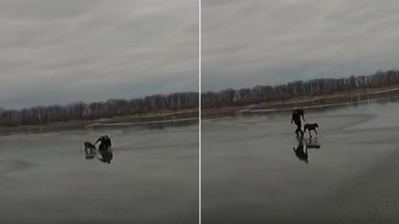 New York officer who saved woman from burning home rescues dog trapped in frozen lake: ‘He’s done it again’