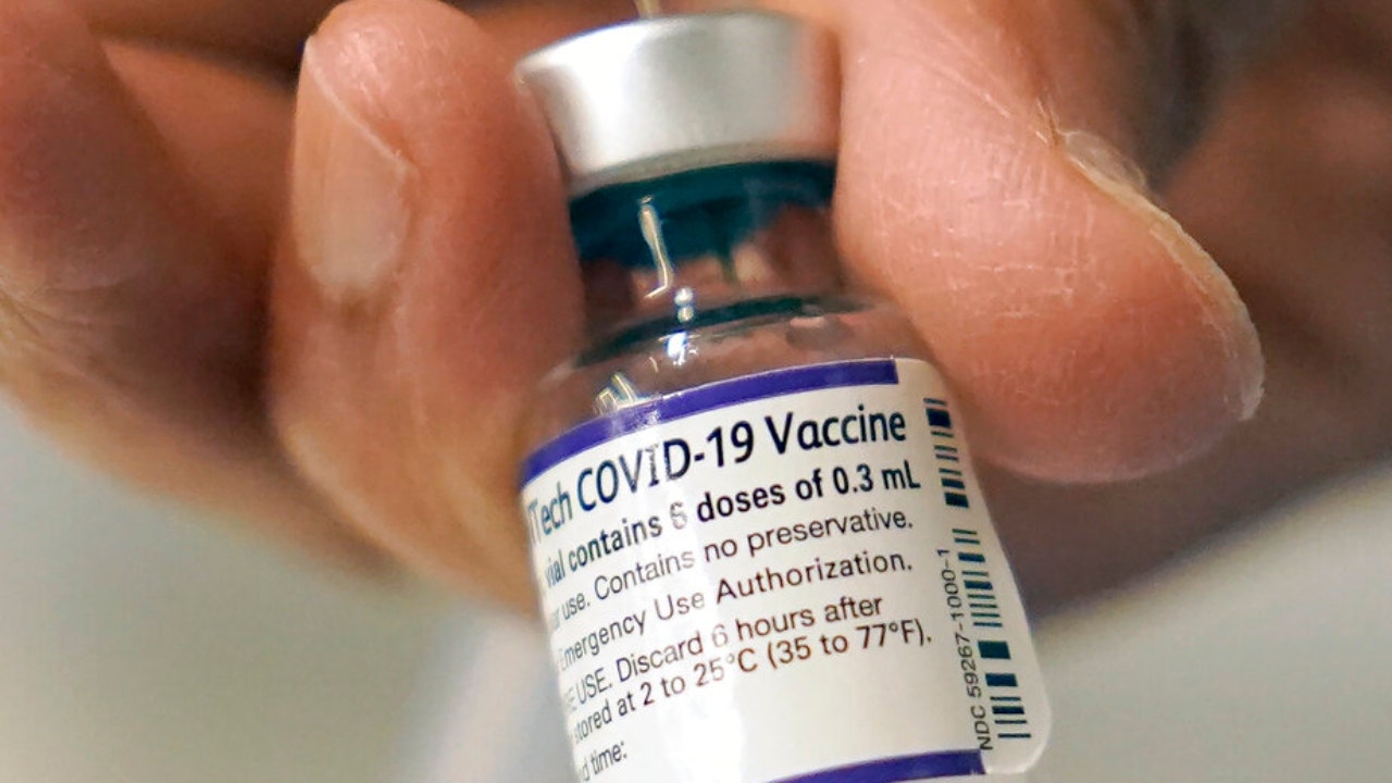 Pfizer COVID-19 vaccine could be available for children under 5 as soon as next month: report