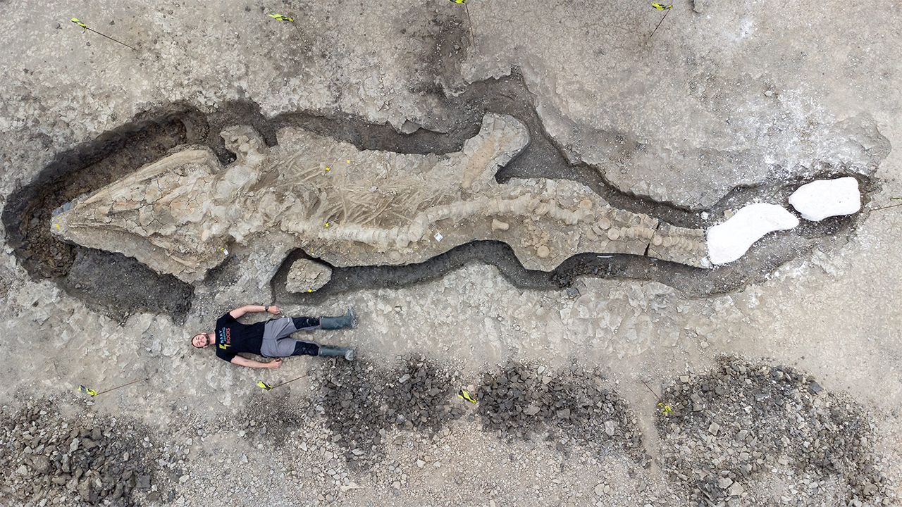 Massive prehistoric ‘apex predator’ fossil found in UK reservoir