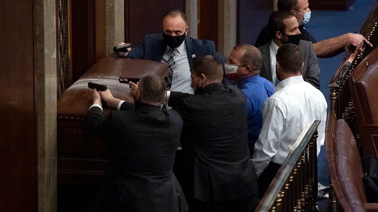 Rep. Troy Nehls reflects on protecting House chamber on Jan. 6 with makeshift weapon: 'I refused to leave'