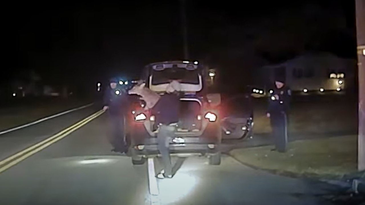 Pennsylvania police find live deer inside car during DUI stop