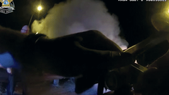 Policiais resgatam mulher presa em carro pegando fogo segundos antes dele ser engolido pelas chamas 2