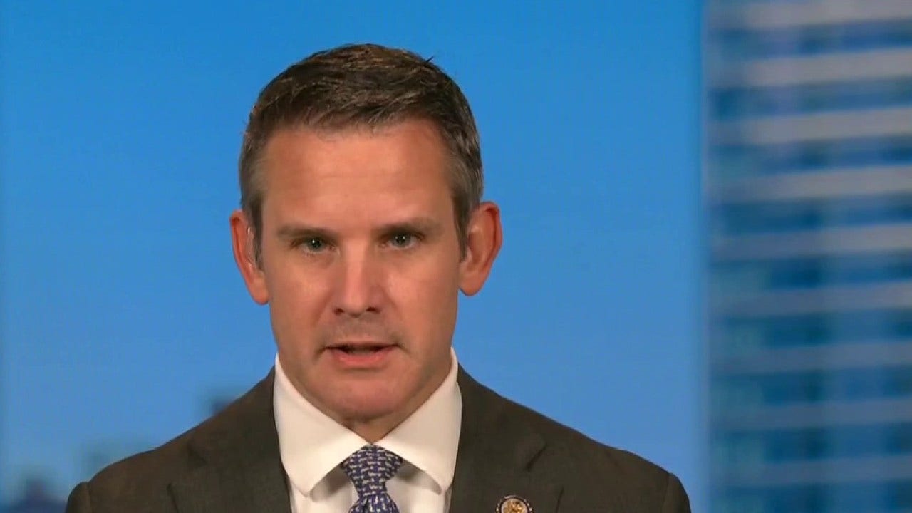 Adam Kinzinger rips Trump, has no regrets standing alone with Liz ...