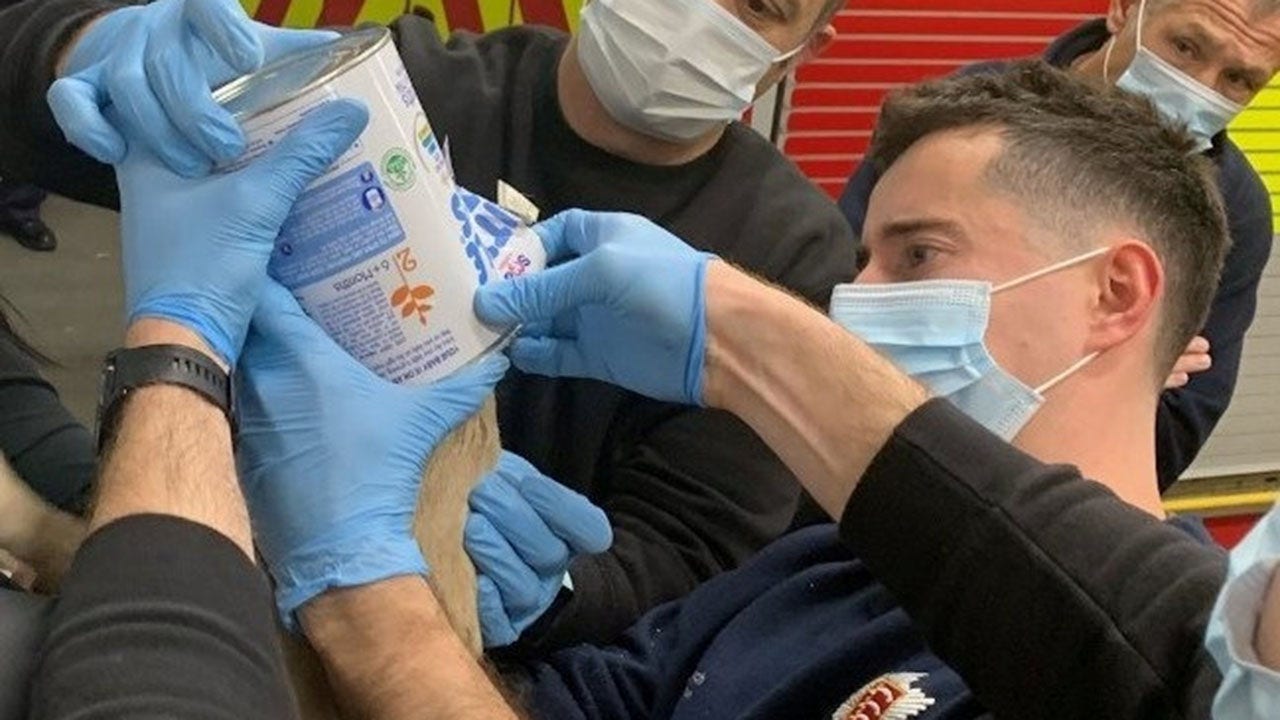 Firefighters rescue puppy with head trapped in baby formula tin