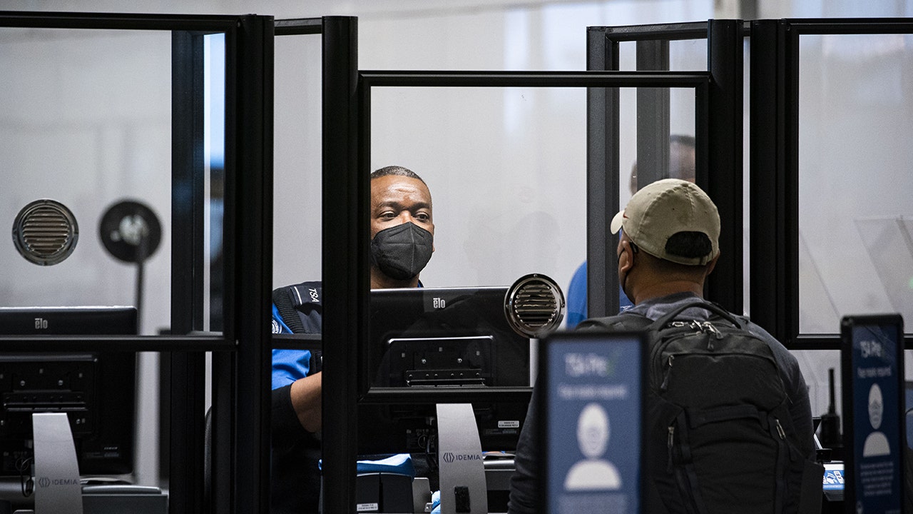 Read more about the article TSA now requires migrants with insufficient IDs to undergo facial recognition check before flying