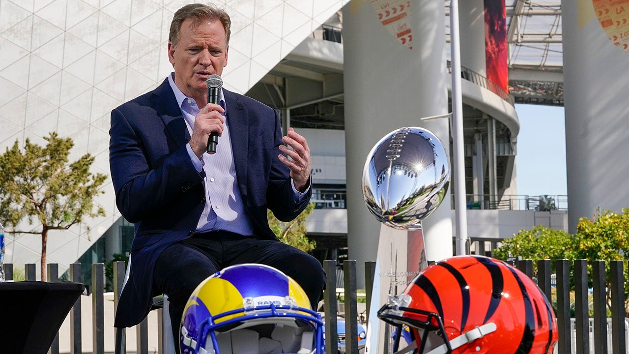 Roger Goodell says league ‘won’t tolerate racism’