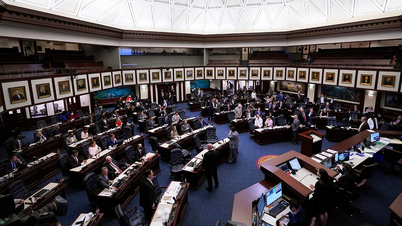 Florida House passes 12-week abortion ban, advances to Senate