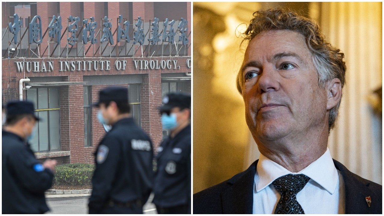 Rand Paul seeking answers on COVID origins, gain-of-function research from 'convention of civilized countries'