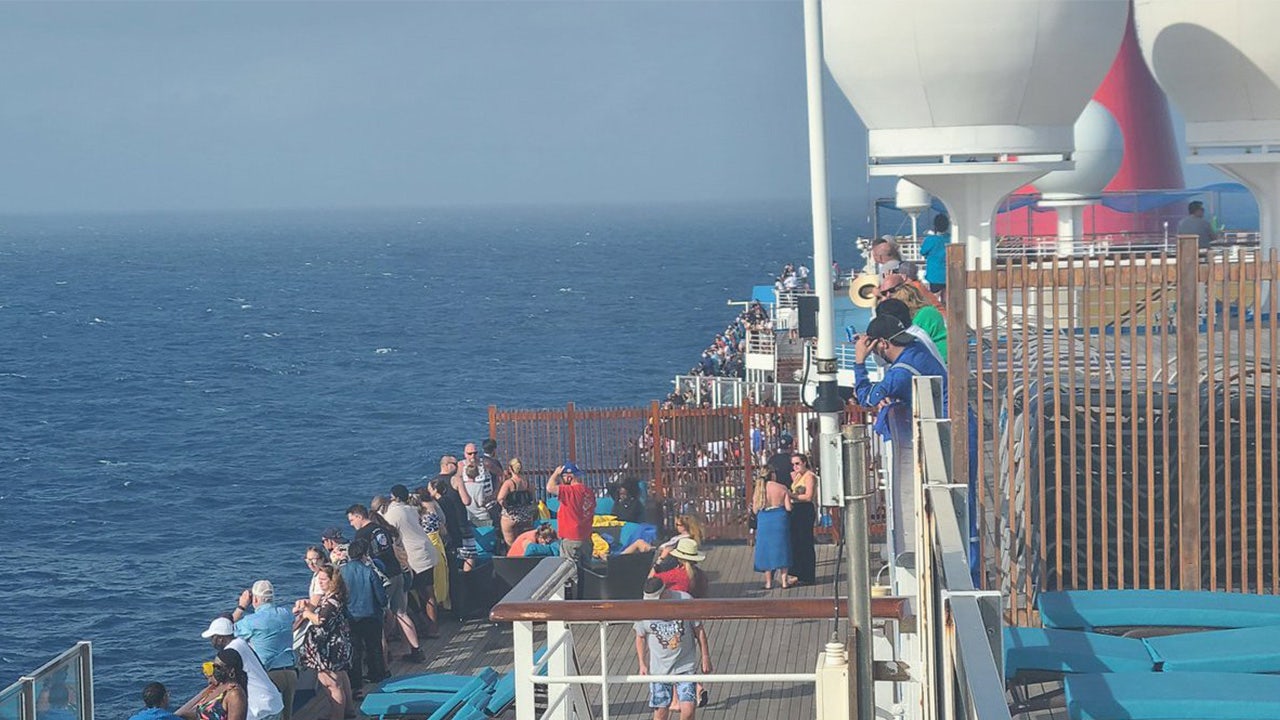 US Coast Guard responds to reports of cruise ship passenger overboard in Gulf of Mexico