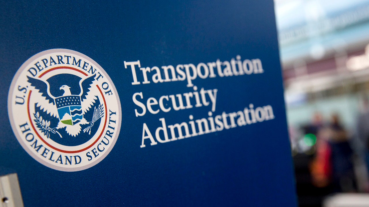 GOP senators introduce bill to prevent TSA from accepting arrest warrants as valid forms of ID