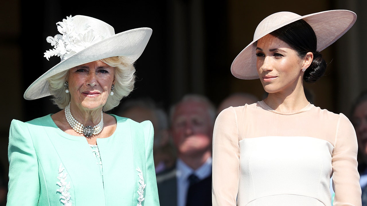 Meghan Markle was called 'that minx' by Prince Charles' wife Camilla, author claims