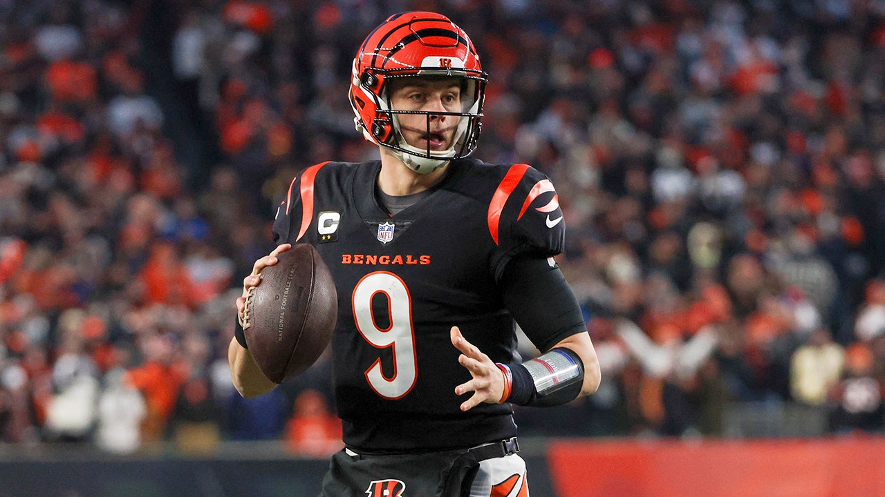 Joe Burrow: Bengals ‘know what it takes’ to win after Super Bowl appearance