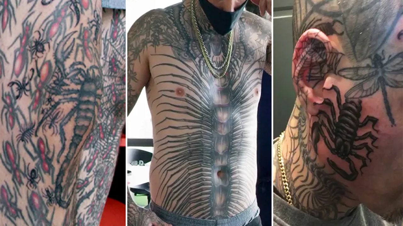 NY man breaks world record for most insect tattoos, despite hating bugs |  Fox News