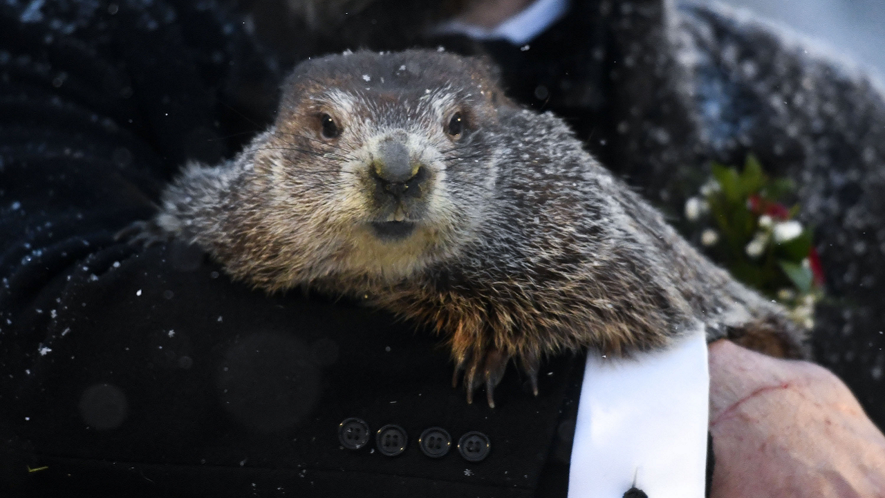 Groundhog Day 2022: Punxsutawney Phil makes his prediction