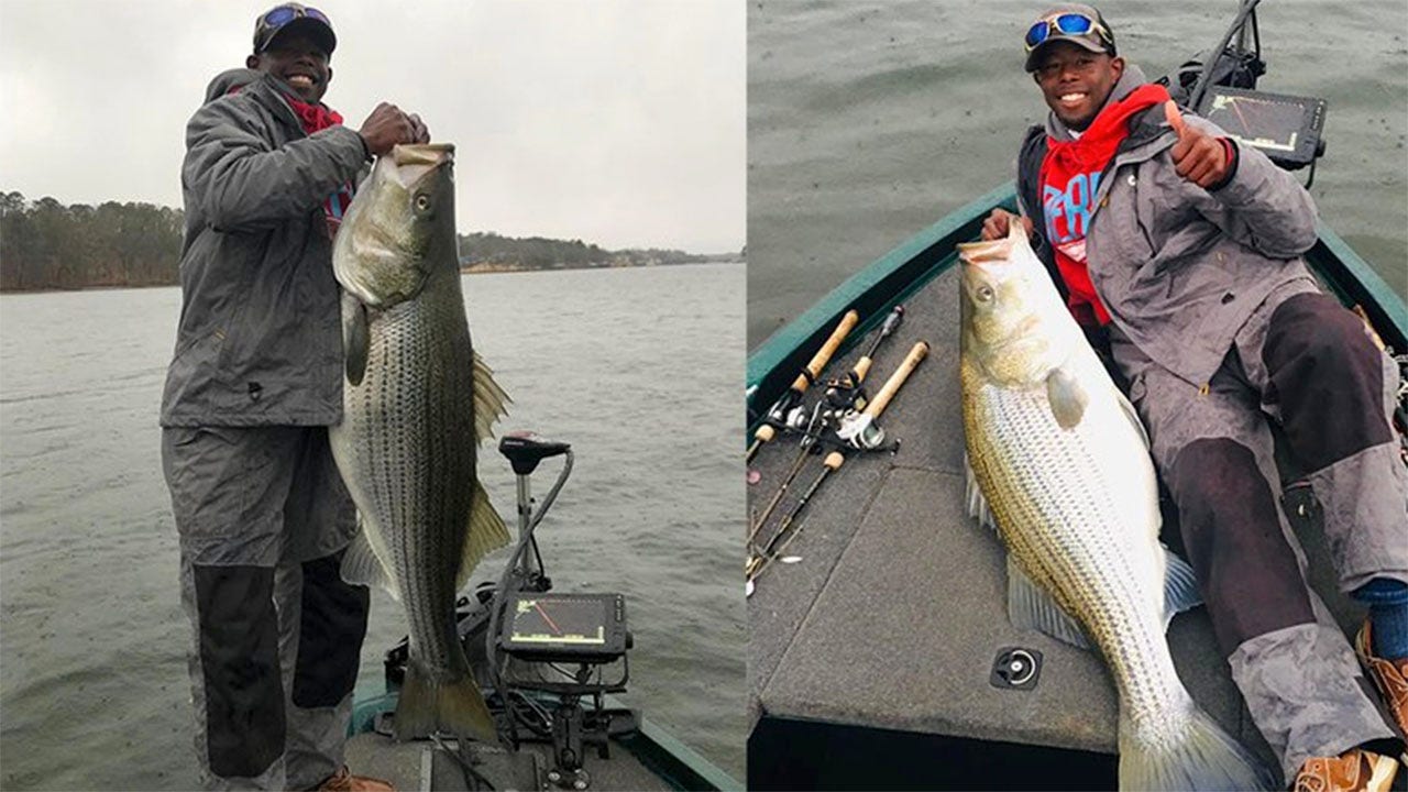 43 Pound Striped Bass Striper Fishing on the ADAHK 