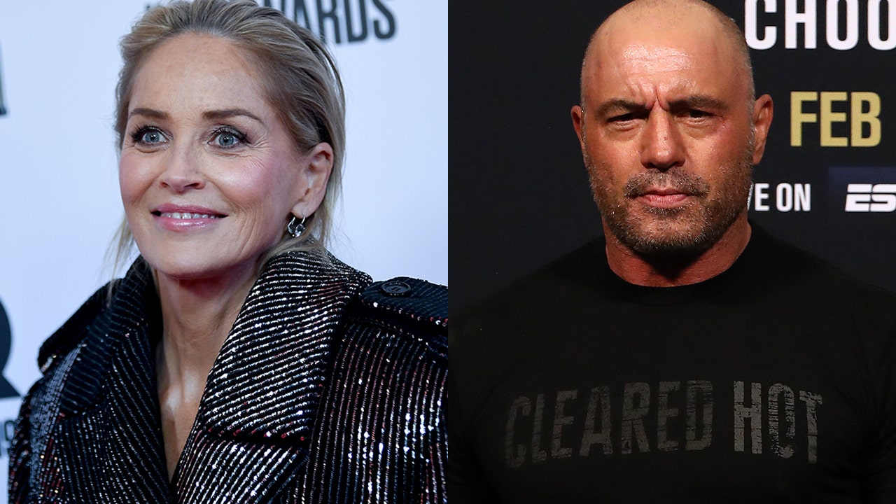 Joe Rogan criticized for 'idiocy' by Sharon Stone over Spotify controversy: 'He's an a--hole'