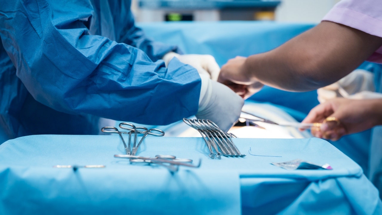 Organ transplants reach record level in 2021