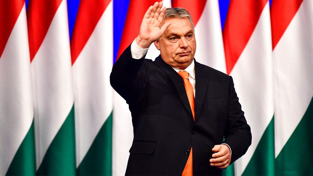 Read more about the article Orbán takes victory lap despite party’s worst-ever performance in EU race