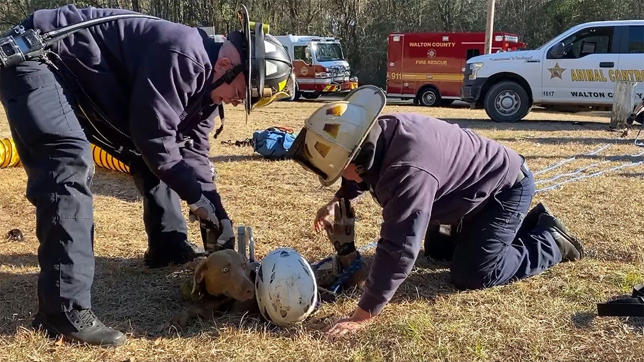 Florida firefighters pull dog out of 15-foot hole