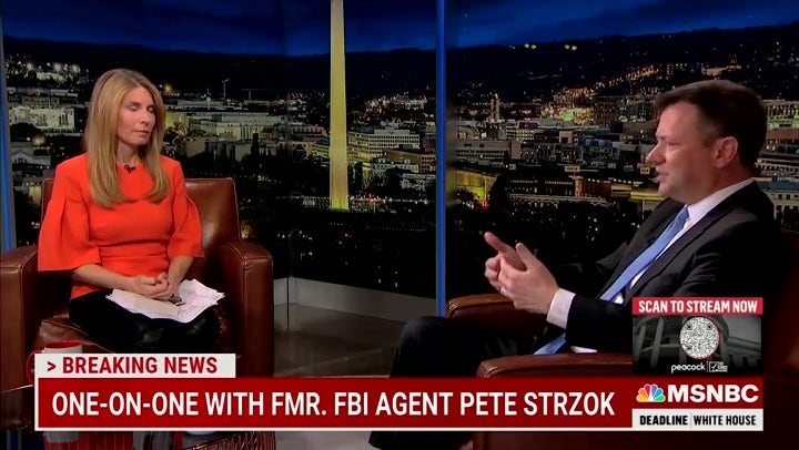 MSNBC's Nicolle Wallace claims Trump 'exploited' the scandal behind Strzok's disgraced departure from FBI, DOJ