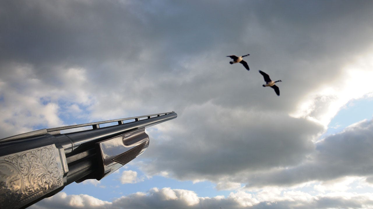 Man's hunting and fishing privileges revoked after pleading guilty to shooting geese from a Louisiana highway