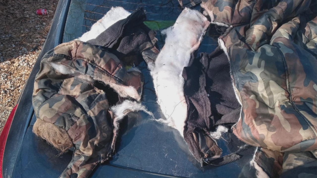 Texas boy mauled by dog while coming home from school