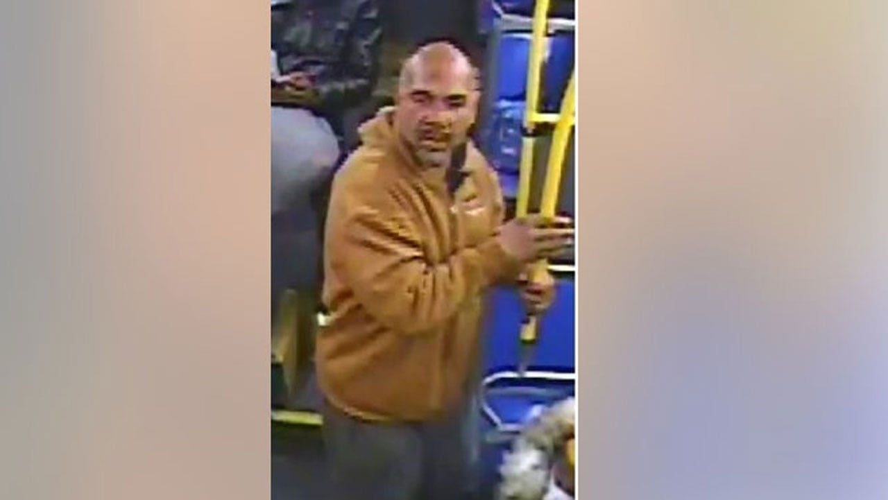 Police: NYC man attacks MTA bus driver with tree branch