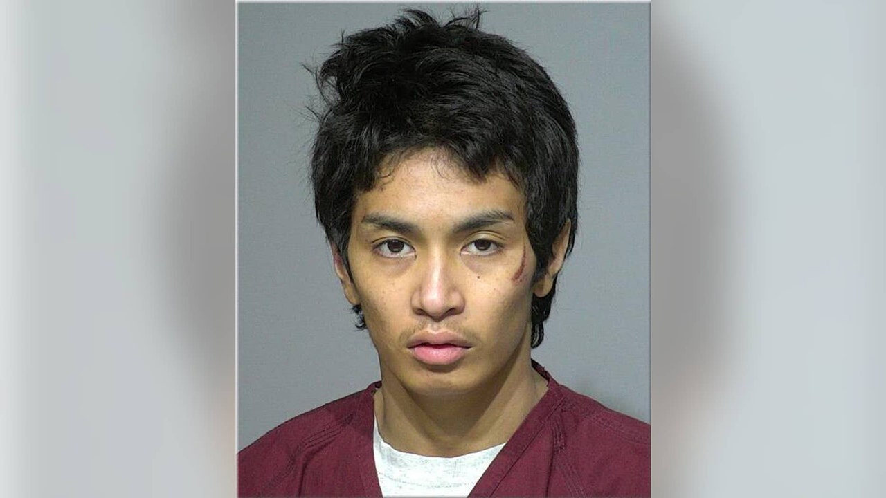 Wisconsin man who allegedly shot police officer and stole his squad car pleads not guilty