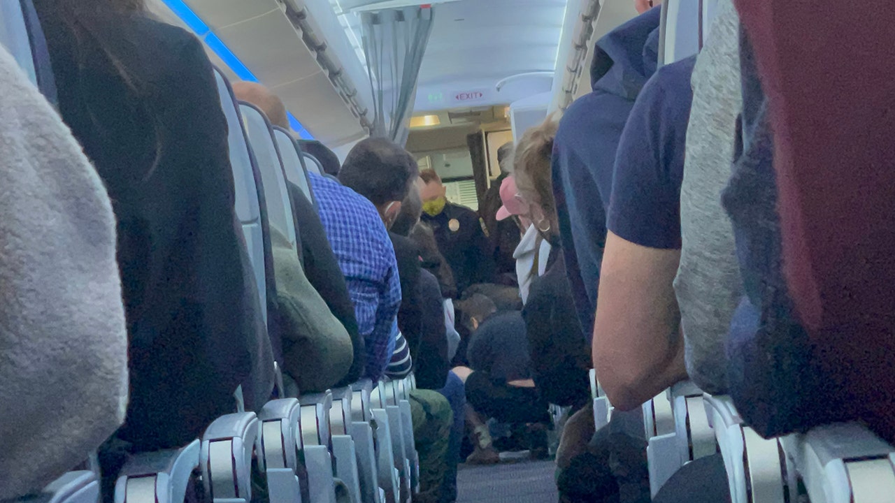 Flight attendants and passengers subdue unruly man who reportedly tried to open plane door, enter cockpit
