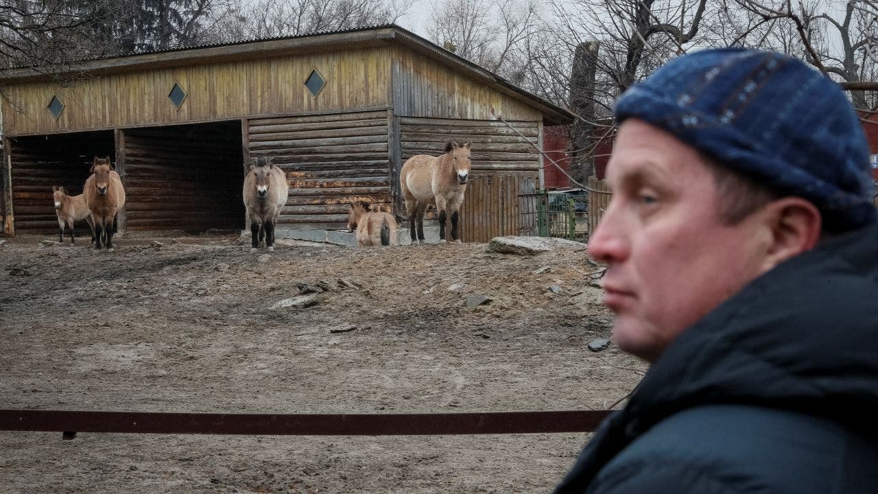 Kyiv Zoo staff, families hide amid Russia-Ukraine war in 'zoo military commune'