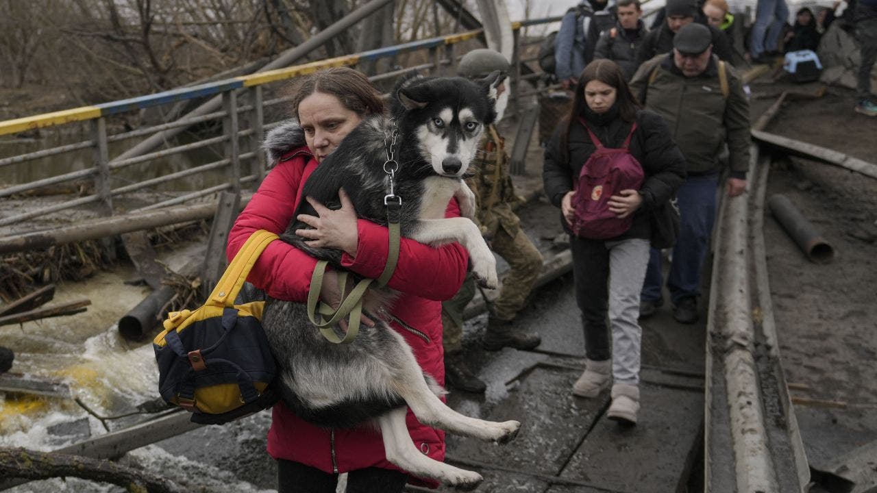 Amid war, Ukraine refugees flee with their pets despite the travel risks