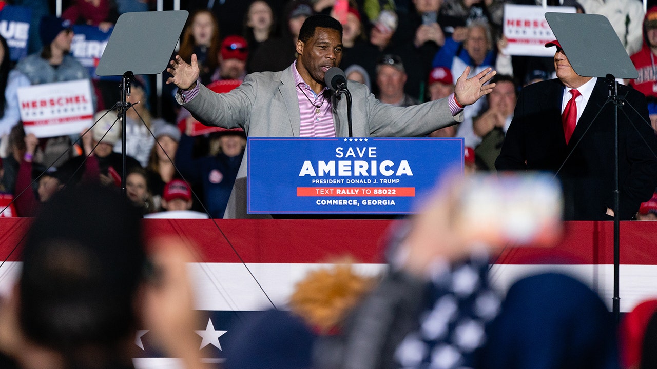 'The View' knocks Herschel Walker over climate change response: 'Too many hits while playing football'