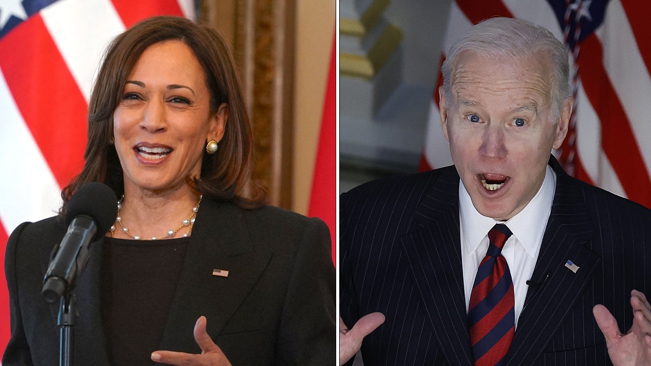 Democrat concerns about Biden's age, Harris's poll numbers mounting in recent weeks: 'Painful to say'